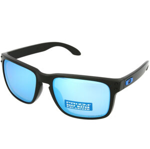 Oakley Holbrook OO9102 9102C1