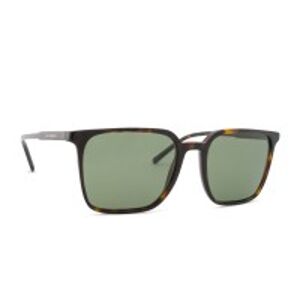 Dolce & Gabbana 0DG 4424 502/9A 56