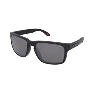 Oakley Holbrook OO9102 9102D6