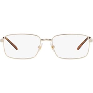 Arnette Gold Rust AN6129 739 - ONE SIZE (54)